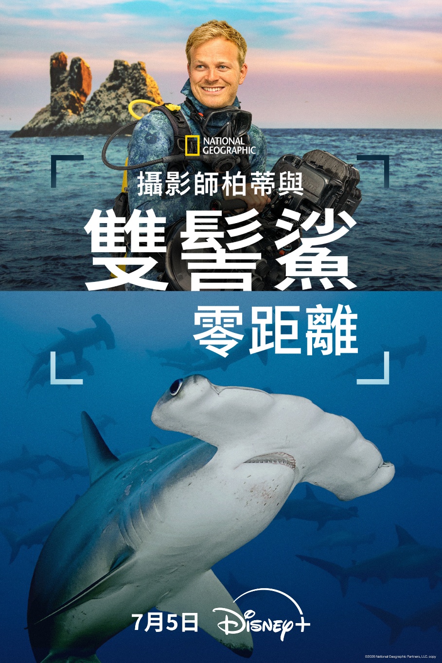 《攝影師柏蒂與雙髻鯊零距離》National Geographic × Disney+(Disney+ 提供)