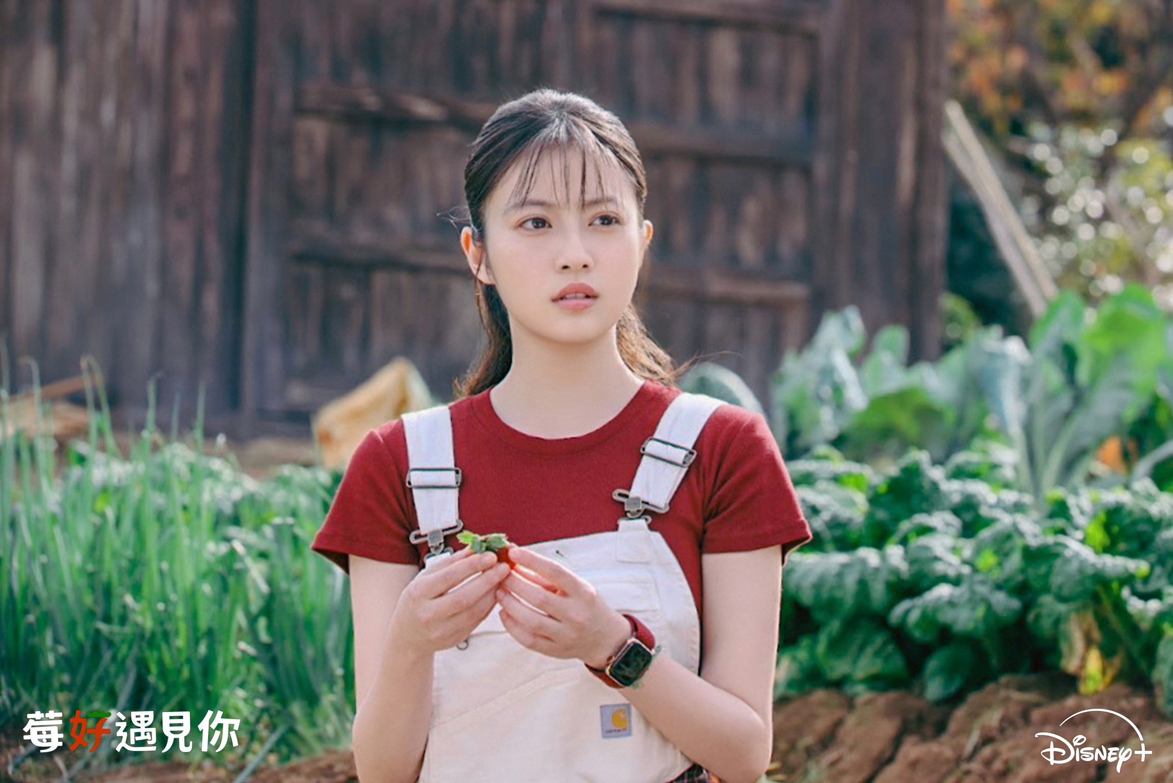 Disney+《莓好遇見你》劇照，今田美櫻飾演草莓農夫白濱夏凜