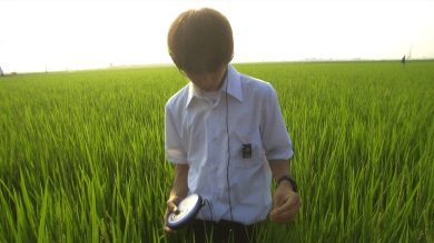 岩井俊二殘酷青春神作重返大銀幕！《青春電幻物語》數位修復版 9/24 上映，蒼井優出道作